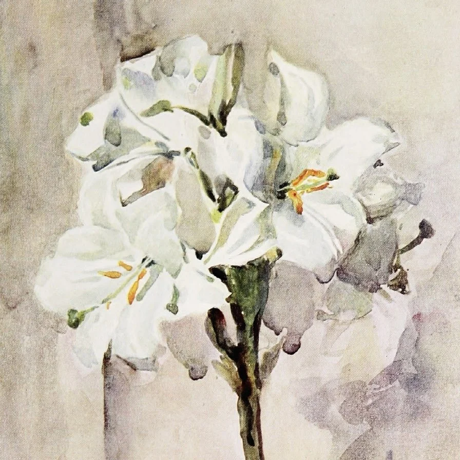 2:20-21:27.jpg