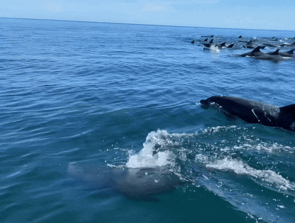 Can we still have fun? (or, when play is the way)