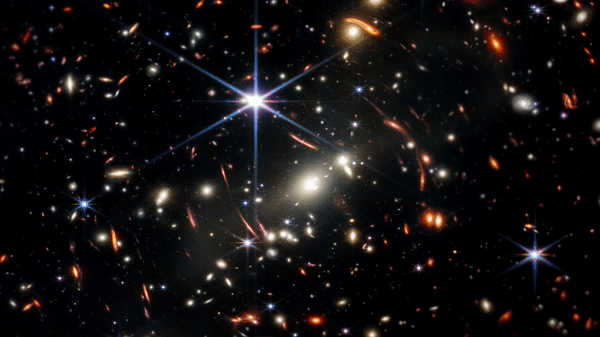 Having a Summer for Success amidst it all