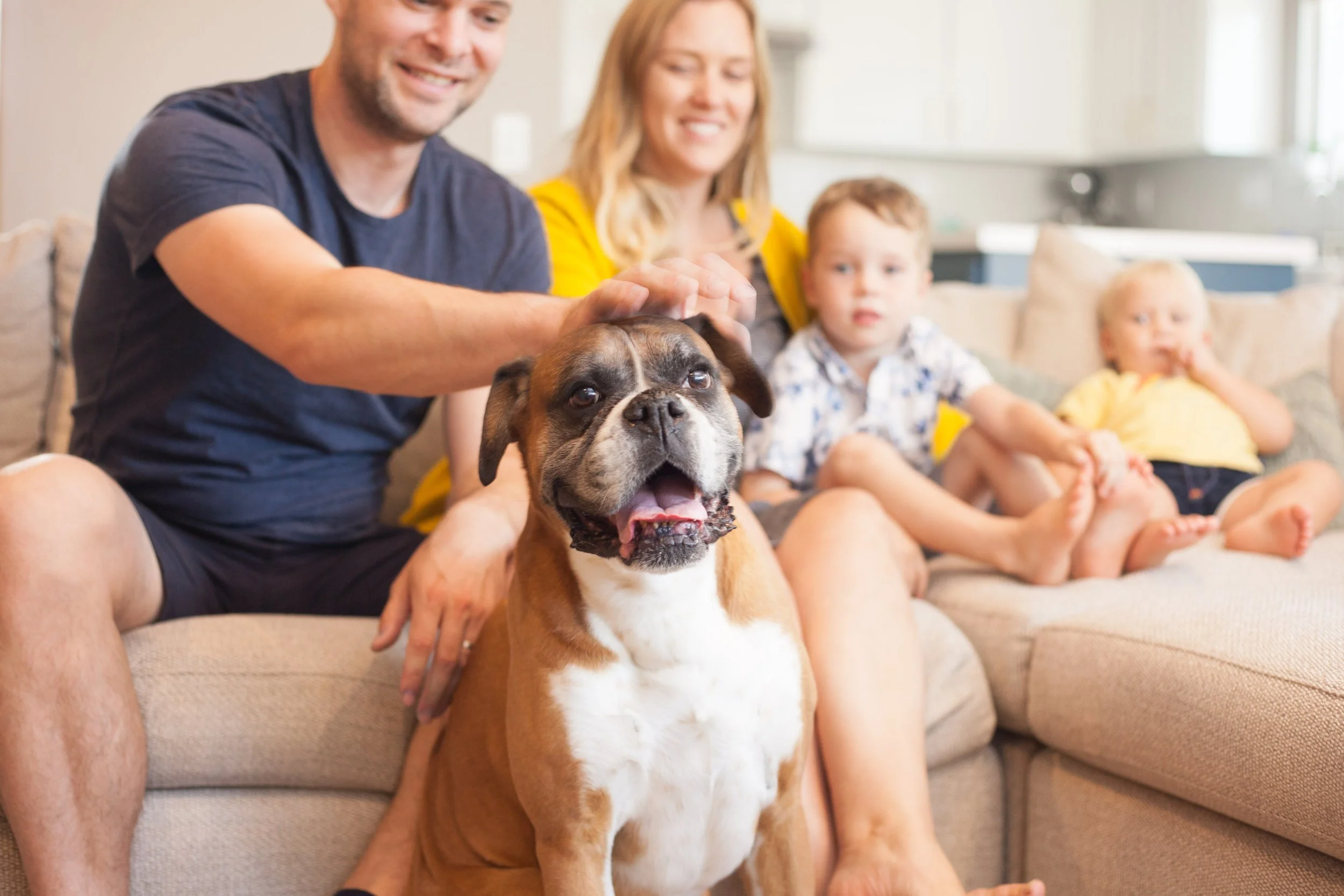 FamilyPortrait-24.jpg