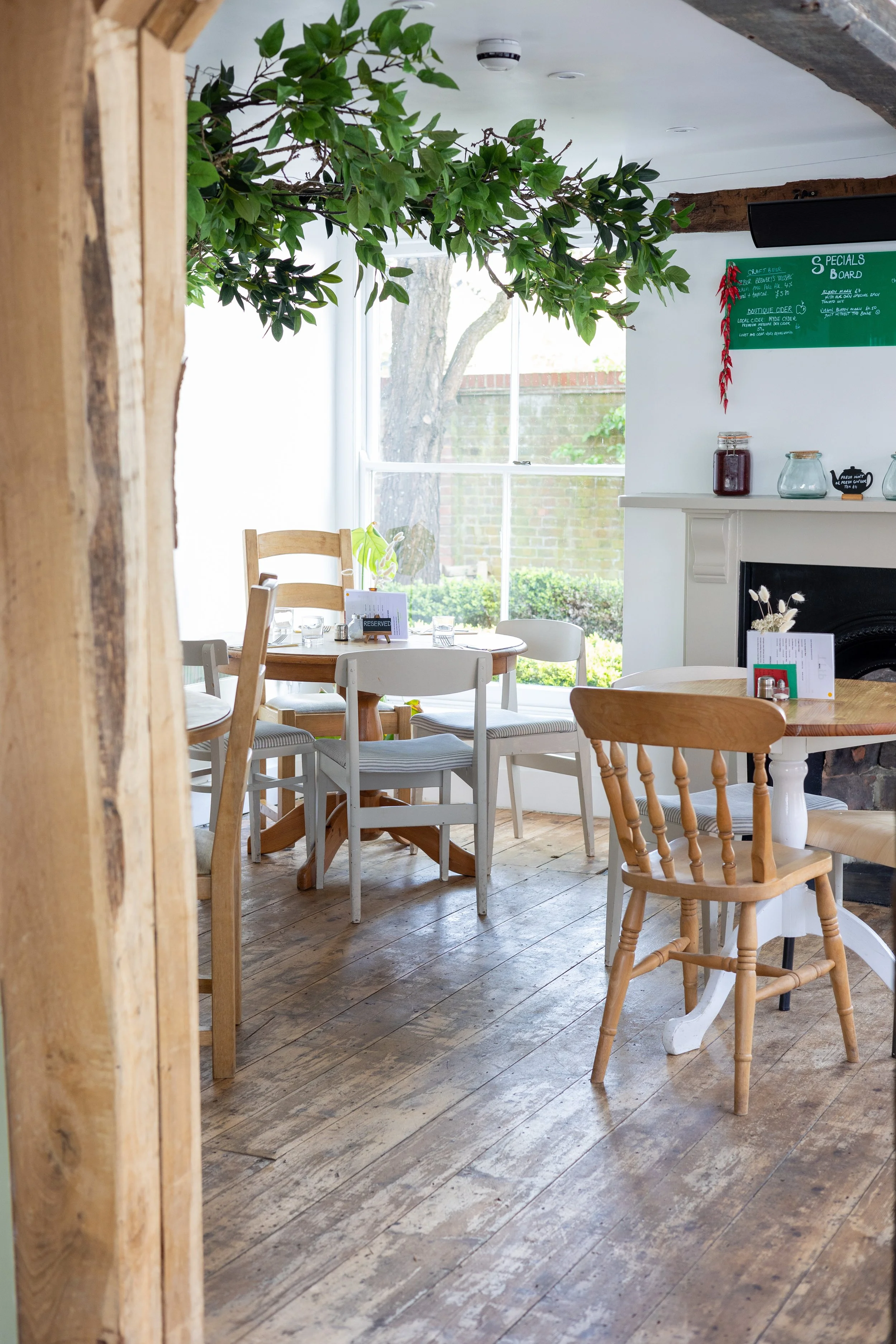 Trish Delaney Dill-8.jpg