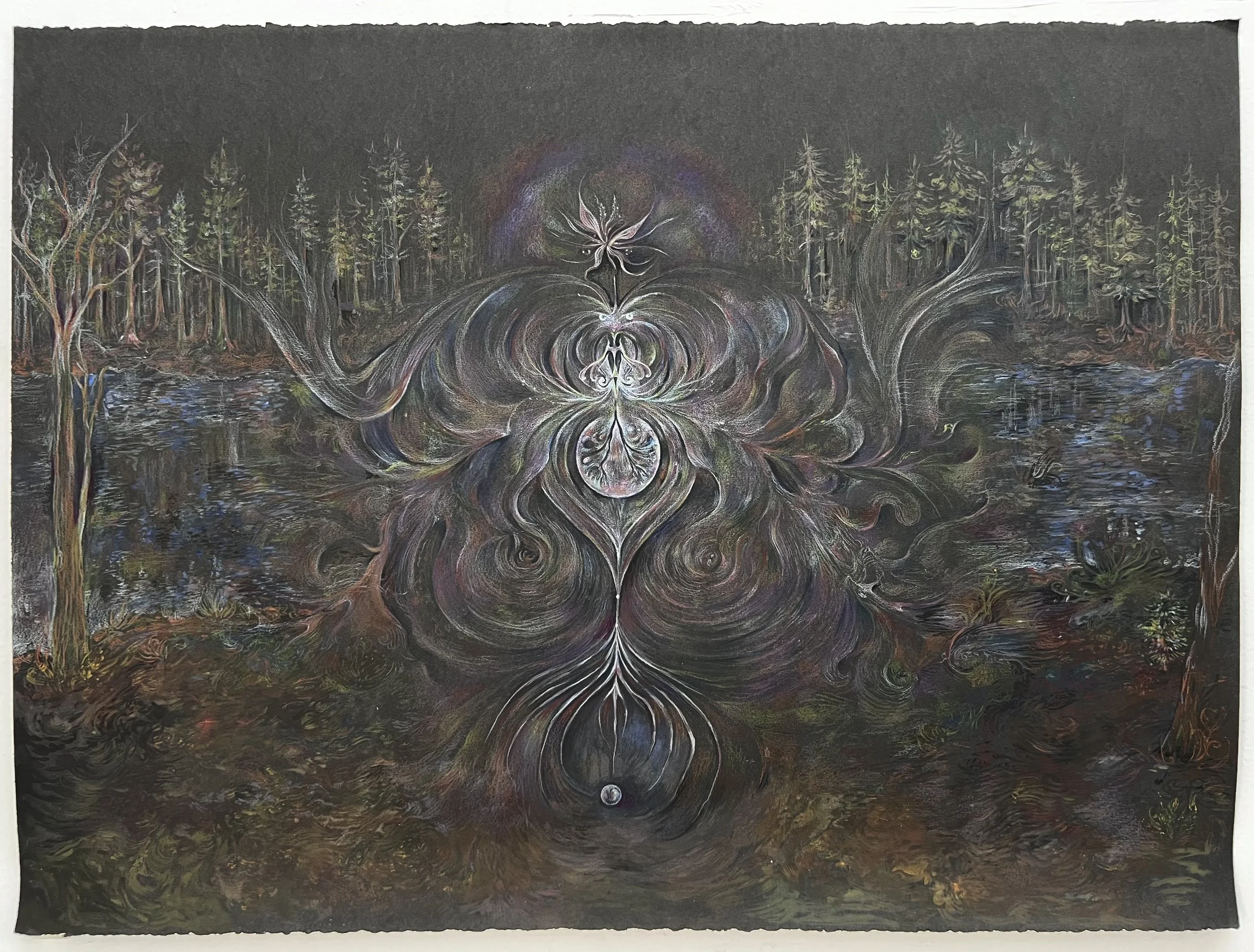 Nymphaeaceae, Watercolor and colored pencil on paper, 20 x 30”, 2026 

