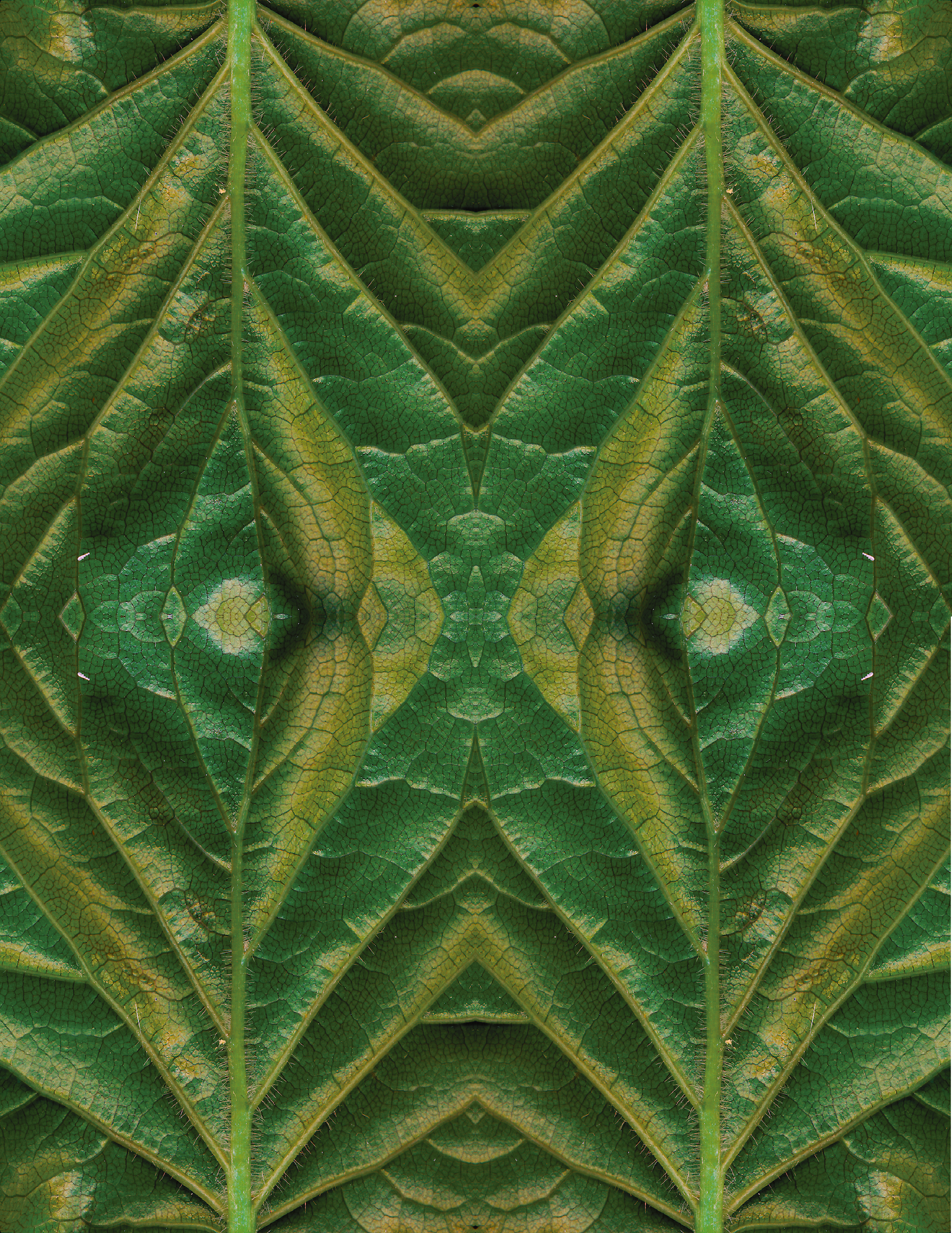 Textile Sample_2.png