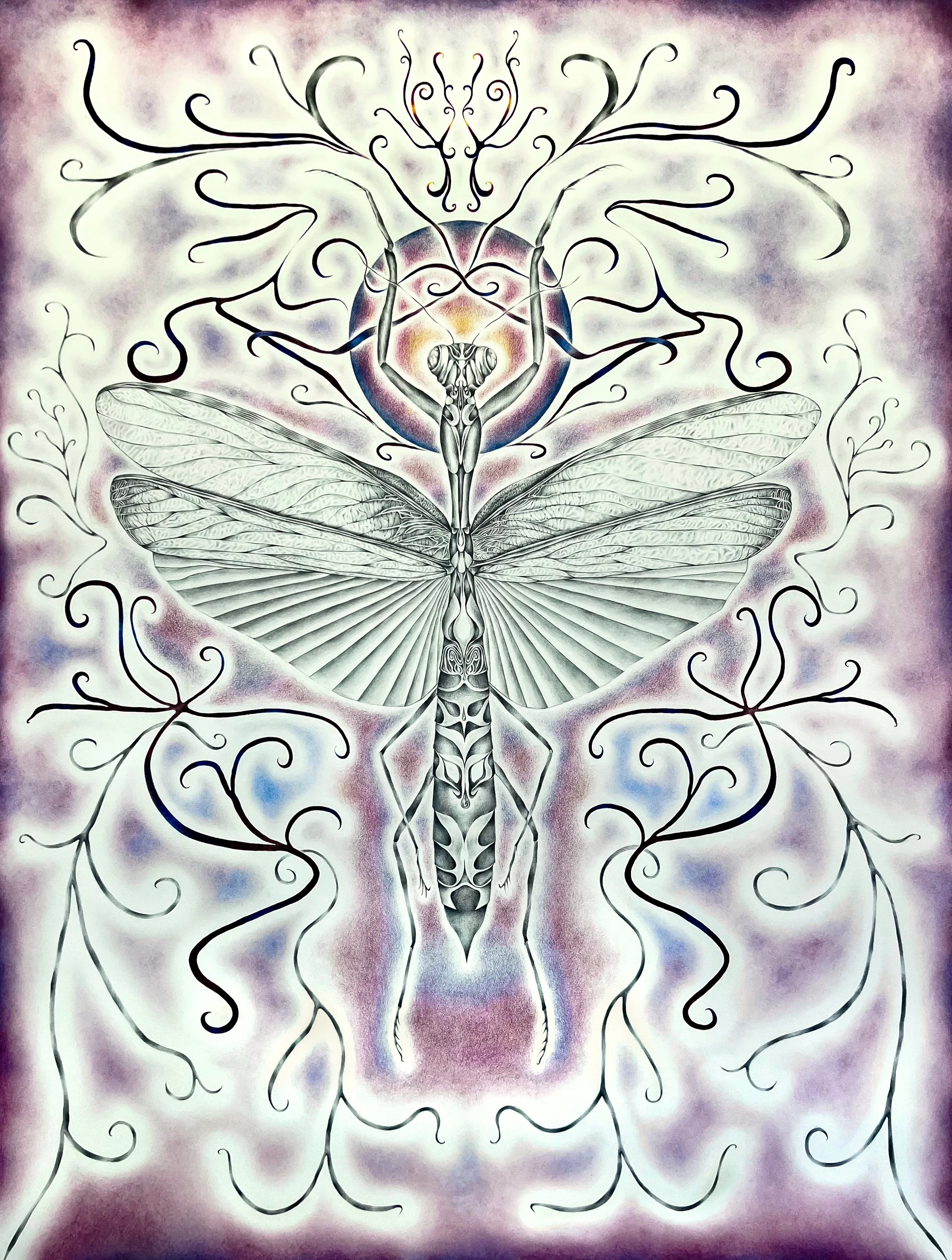 Incantation of a Carnivore.jpg