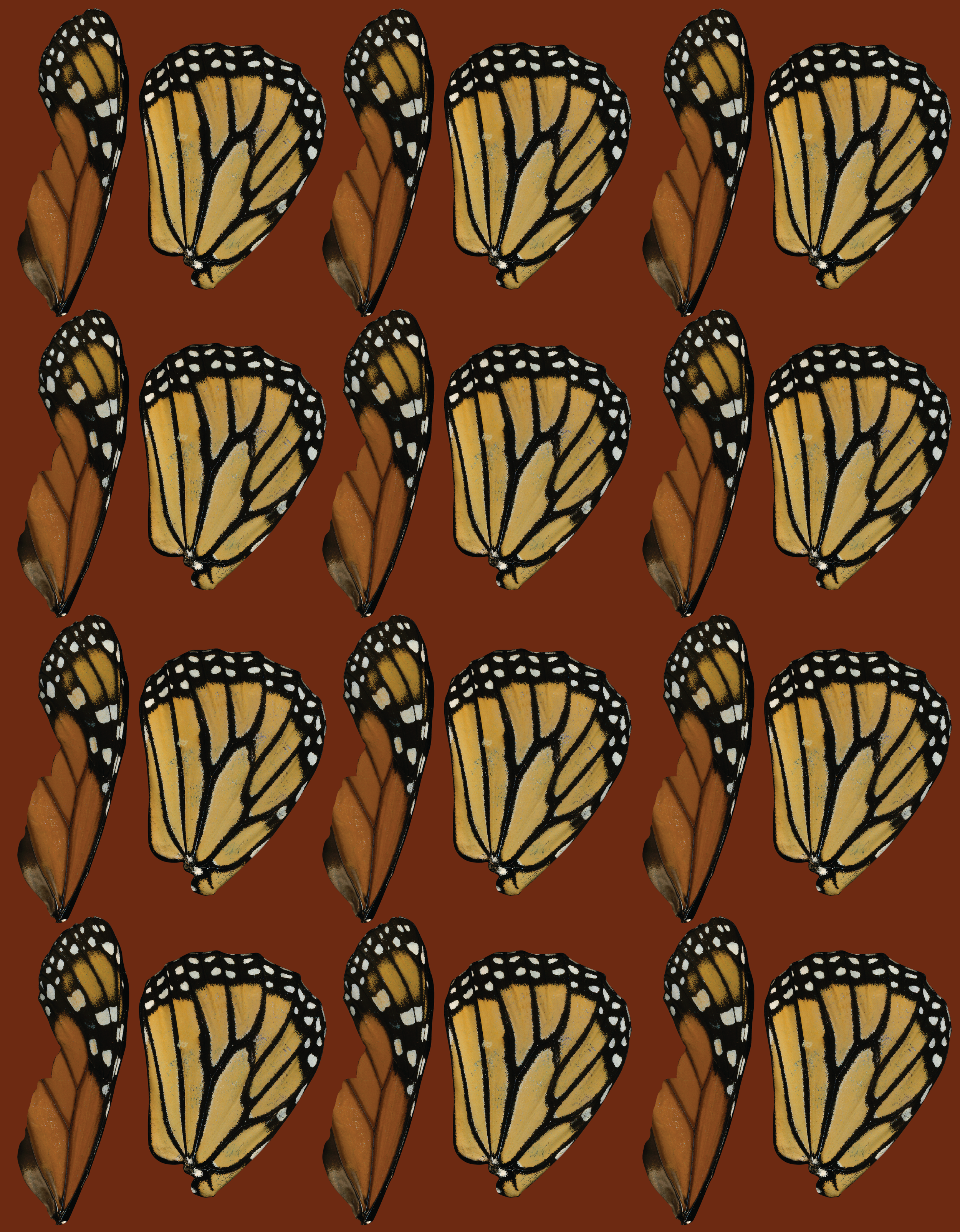 pattern6.png