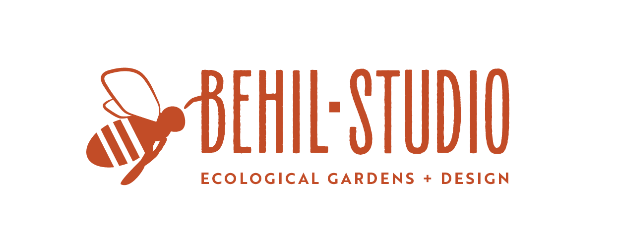 BEHIL STUDIO