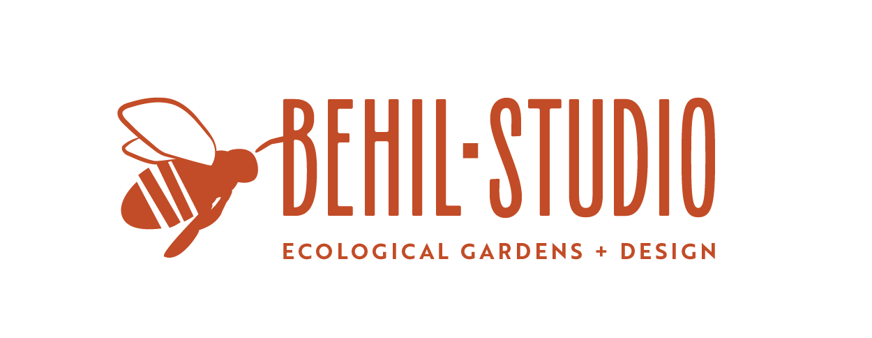 BEHIL-STUDIO