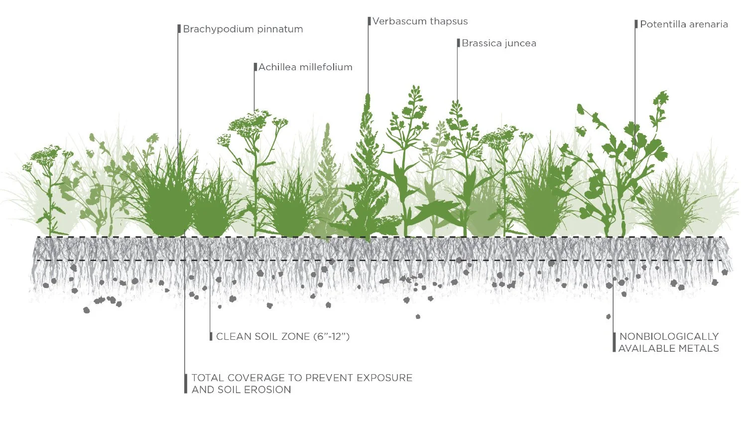 The Earth As a Living Thing