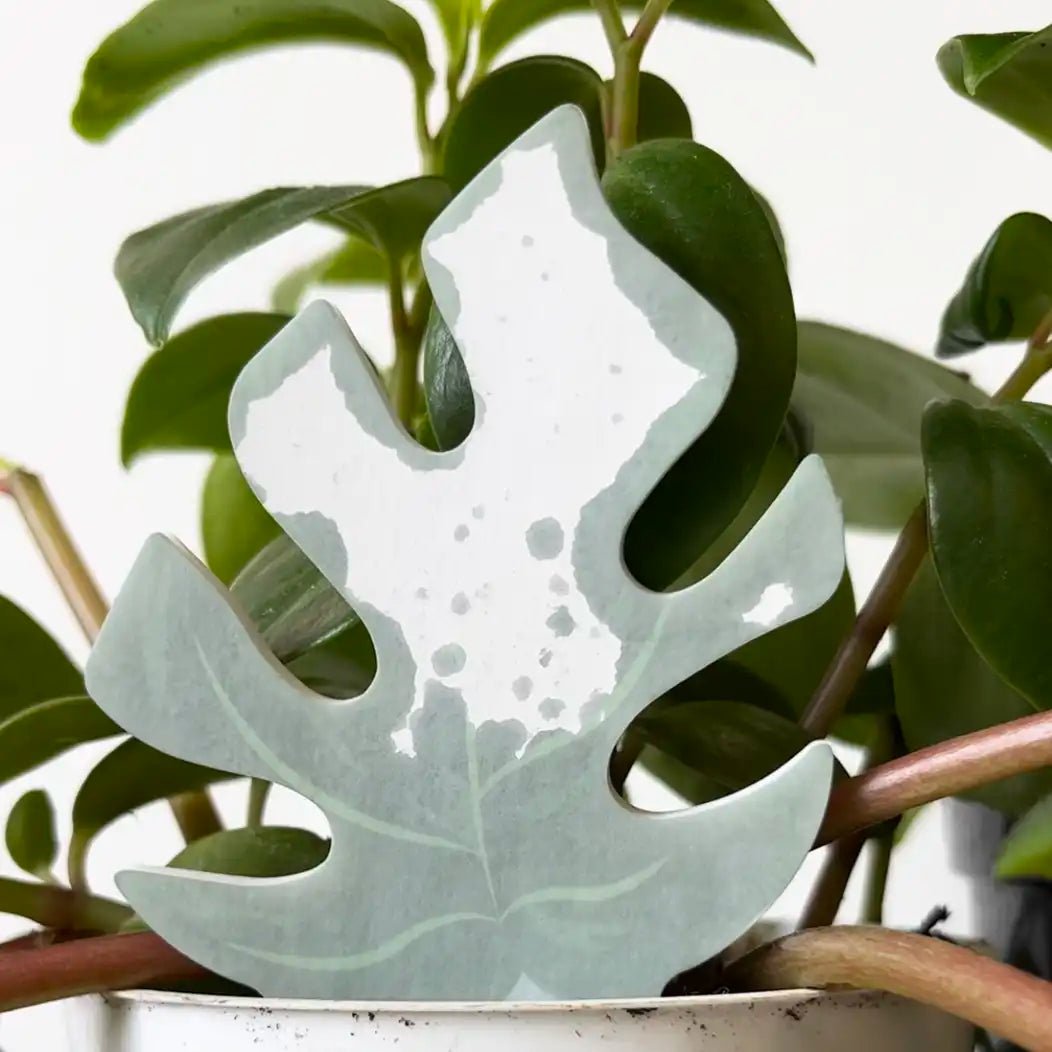plantdocinplant_1080x.jpeg