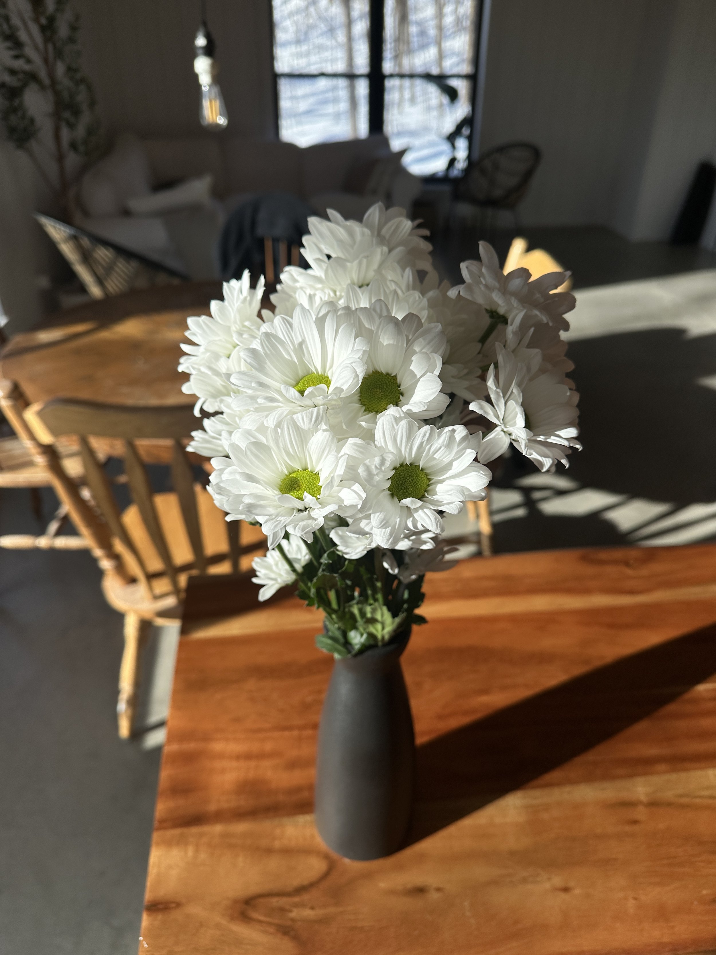 IMG_3796.jpeg