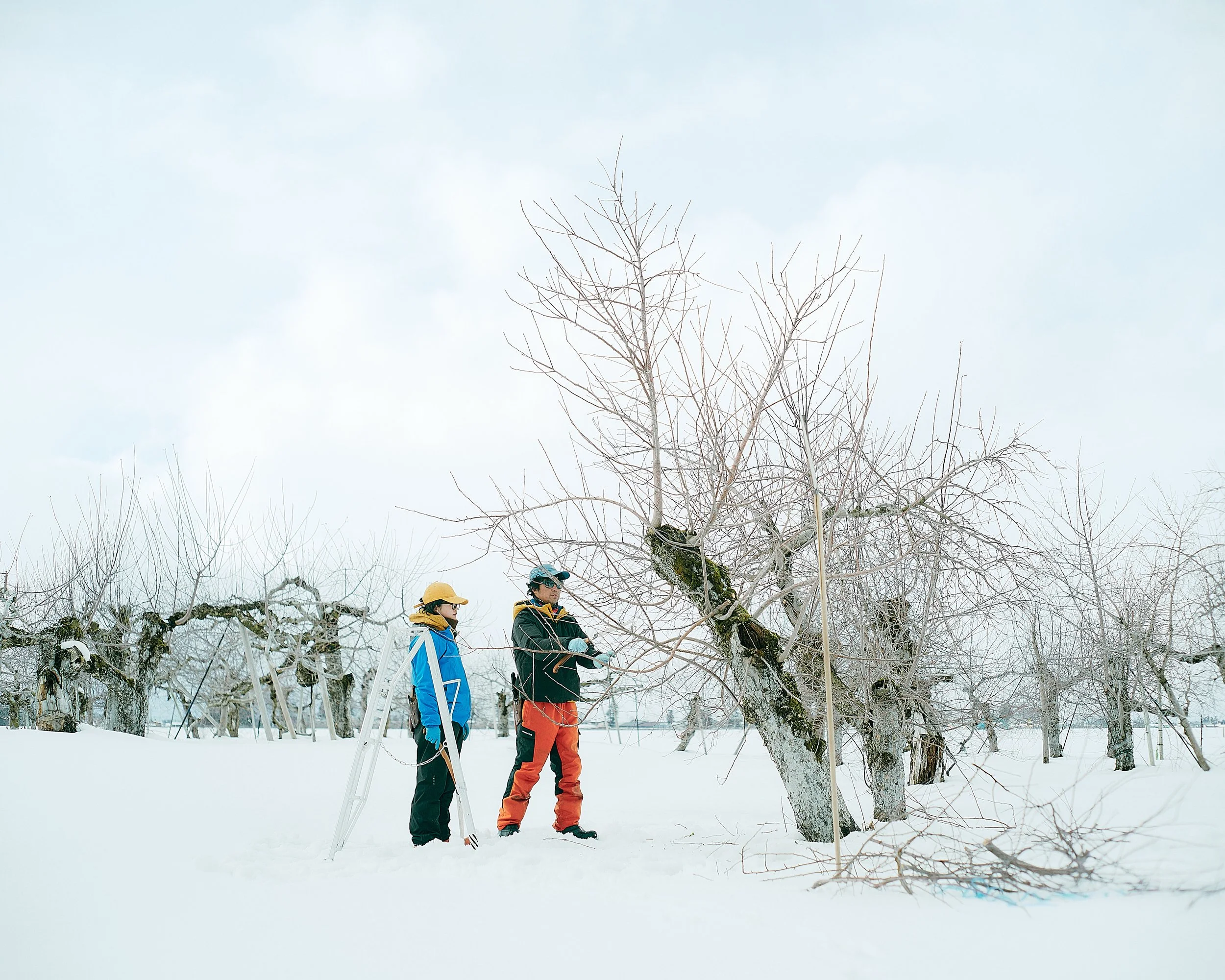 ◯と三　企画・写真・ライティング