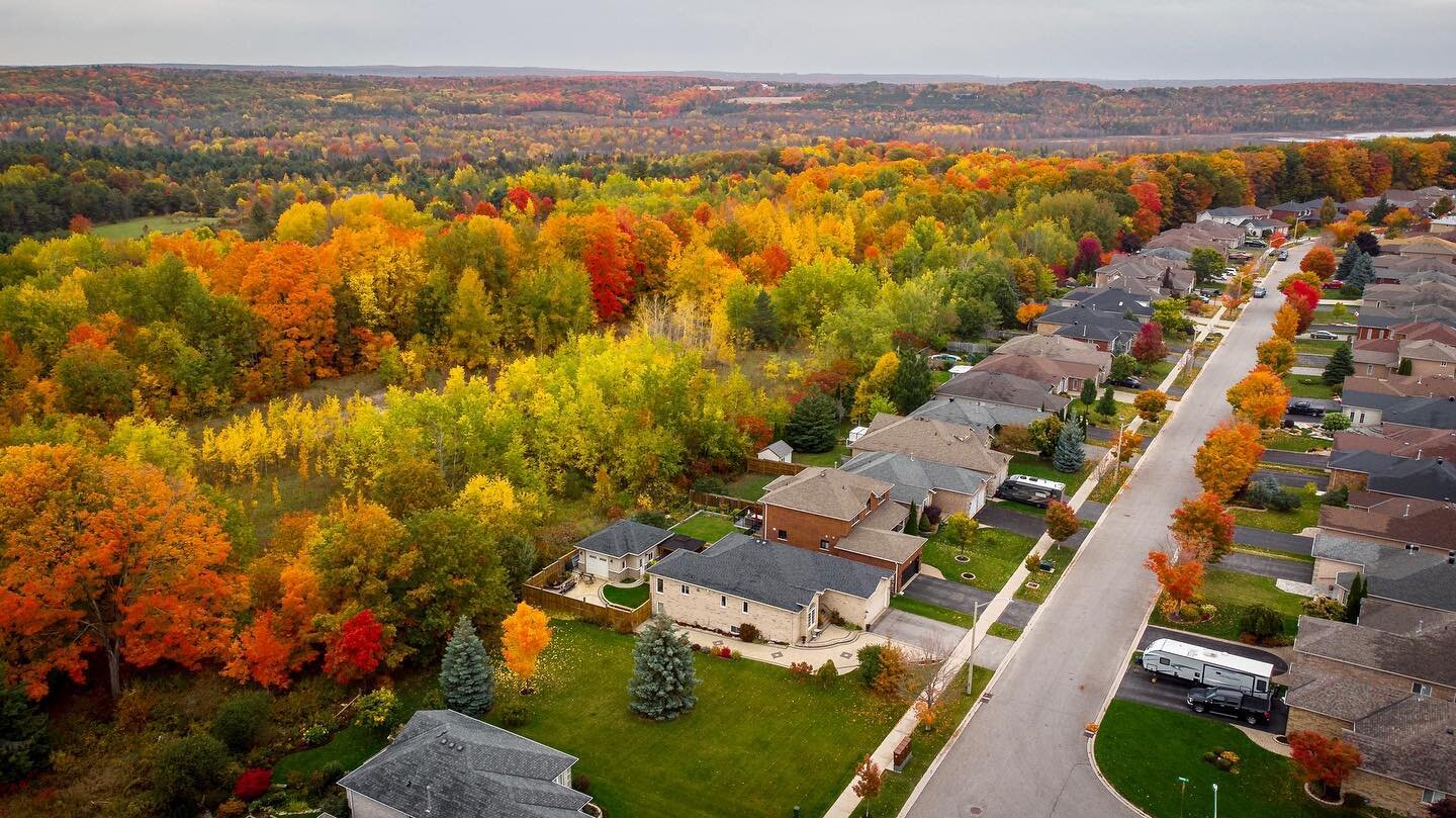 🍁 The Fall In Love 🍁 

#REALCANADIANFALL
#canada #canadianfall #canadianfall🍁 #barrie #sunnidalepark #canadanature #ontario #fallcolors #autumn #fallincanada #canadian #toronto #cinematic #photography #dronephotography #dronevideo