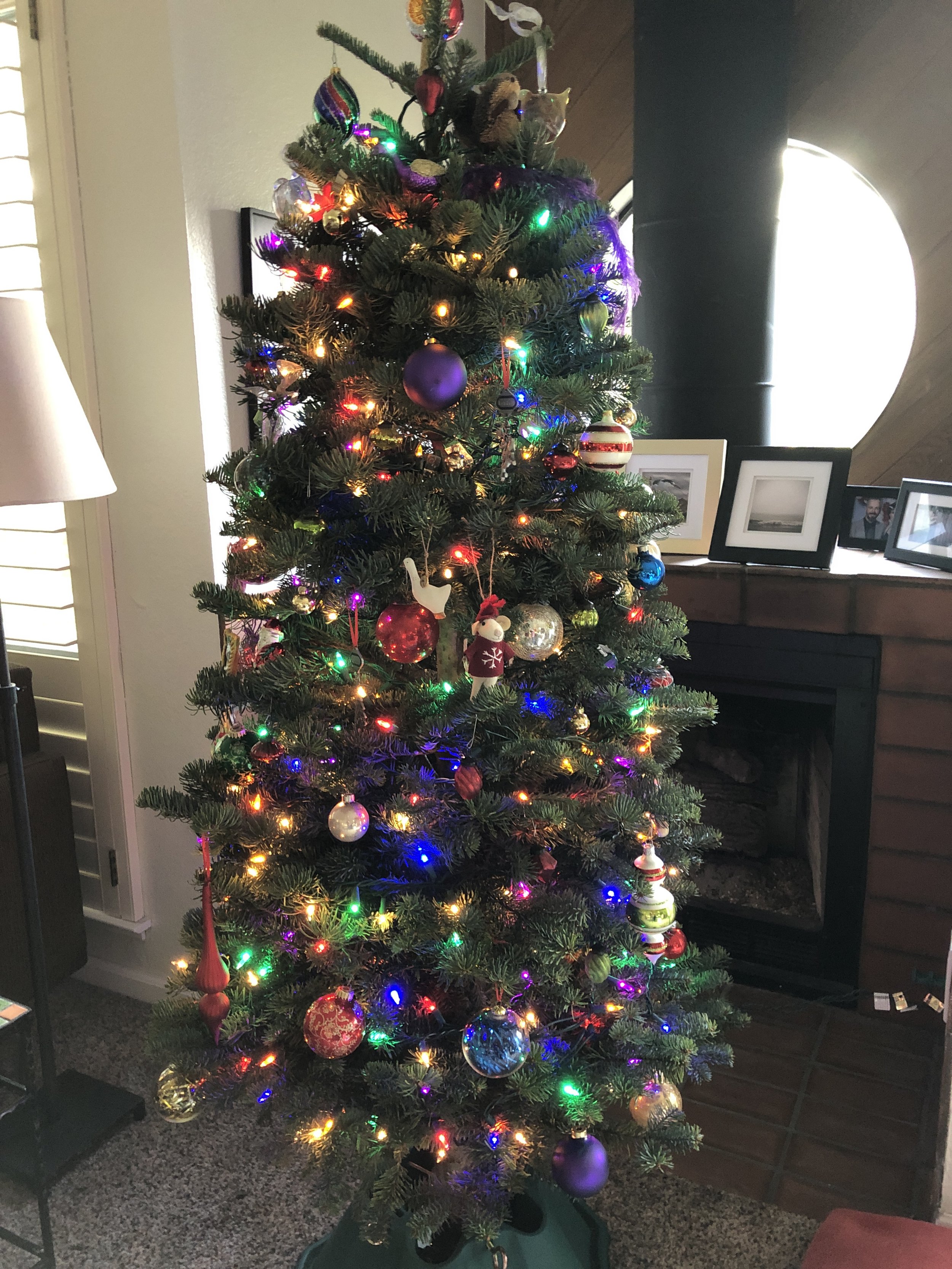 Merry fucking Christmas