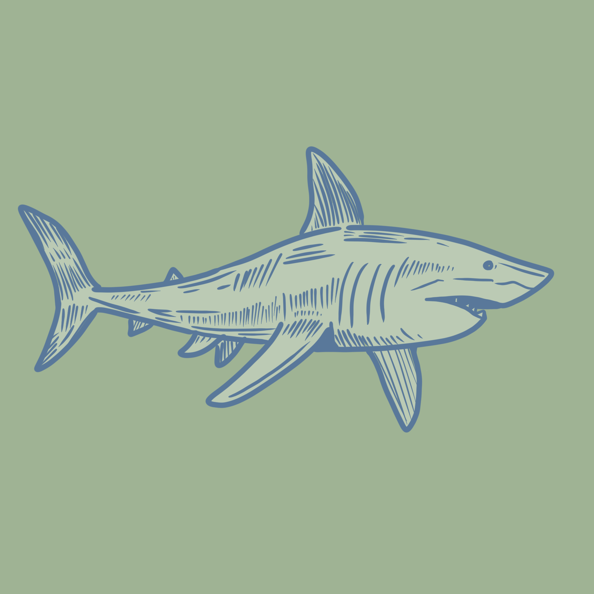 shark.png