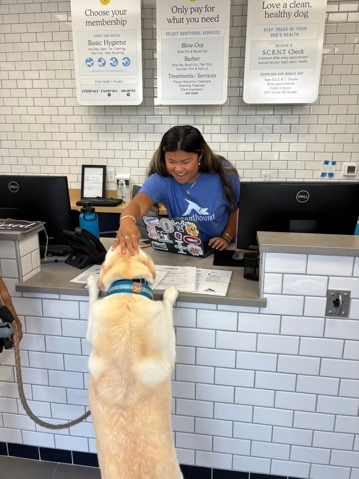 front_desk_greeting