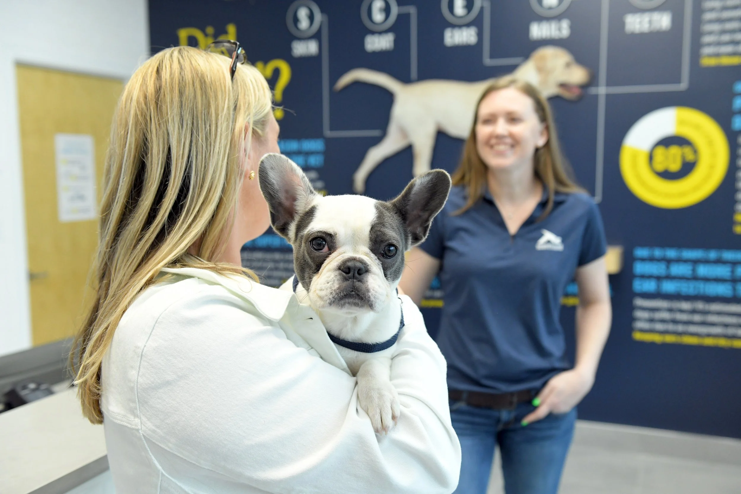 How to Scale Franchise Units in the Dog Industry from One to Three