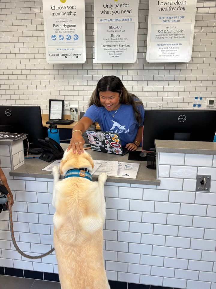 Secret to Building Customer Loyalty in Dog Wellness Franchise: What Is It?