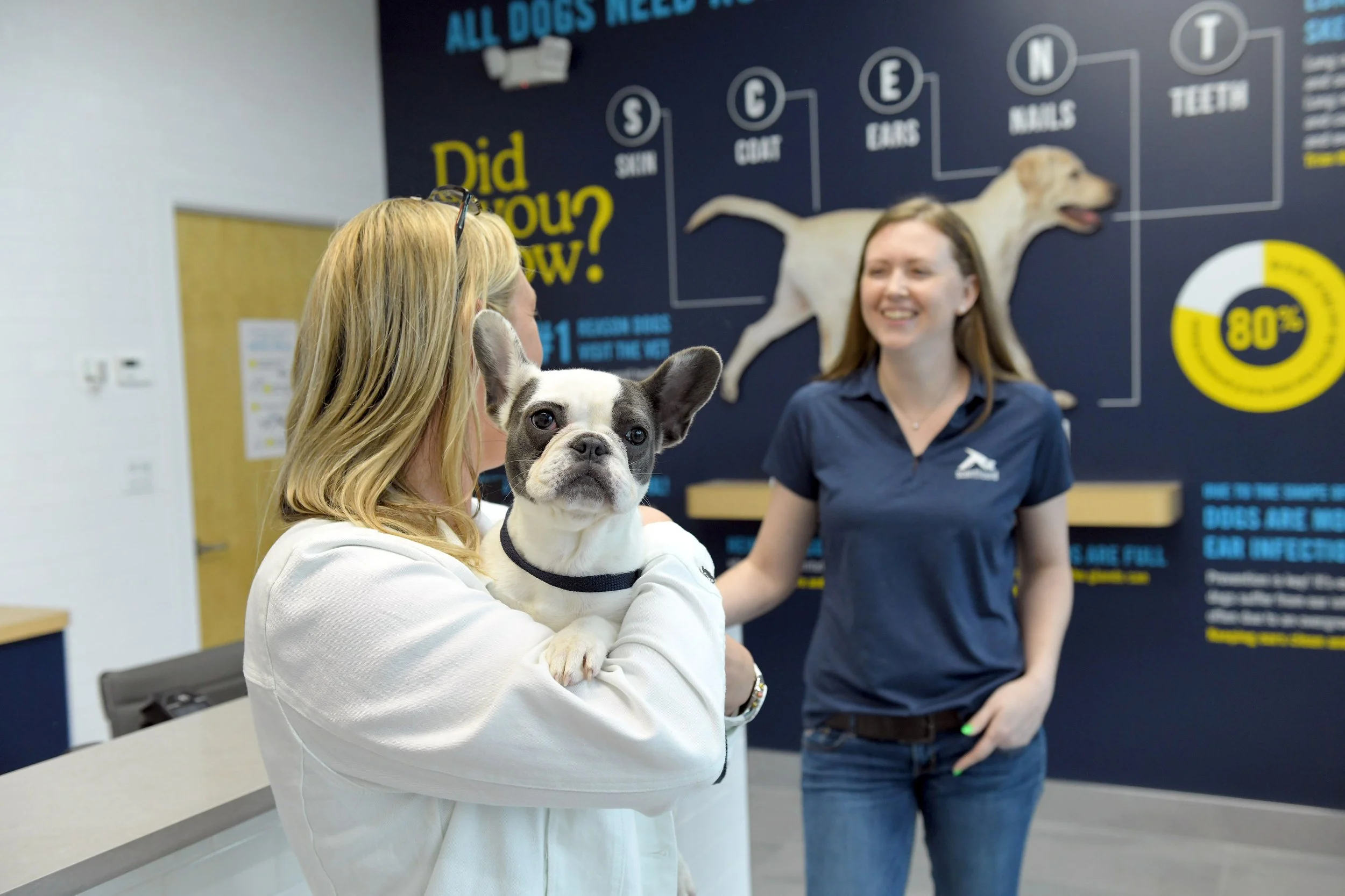 Scenthound_franchisee