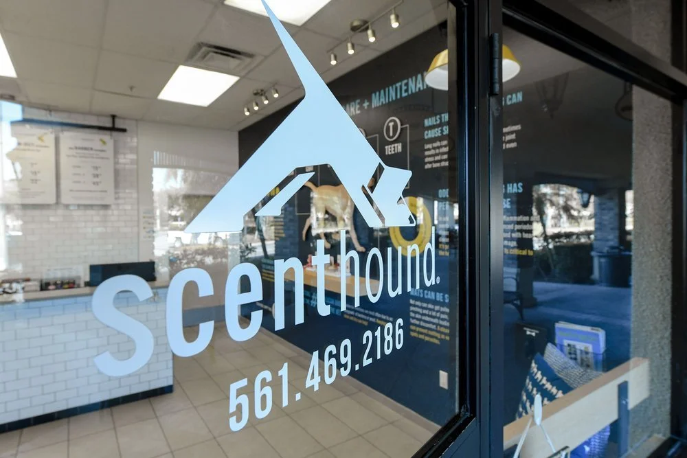 Dog Washing & Grooming Franchise | Scenthound Dog Franchise