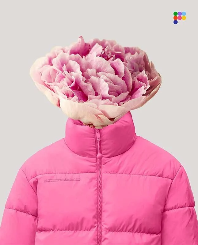 FLWRDWN.jpeg