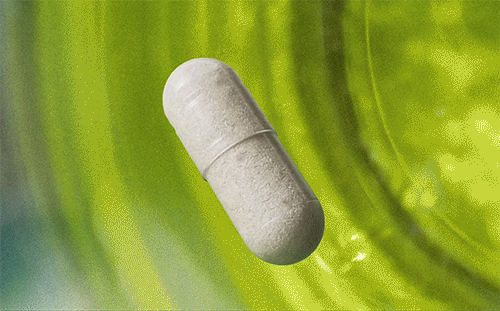 BoulderBio