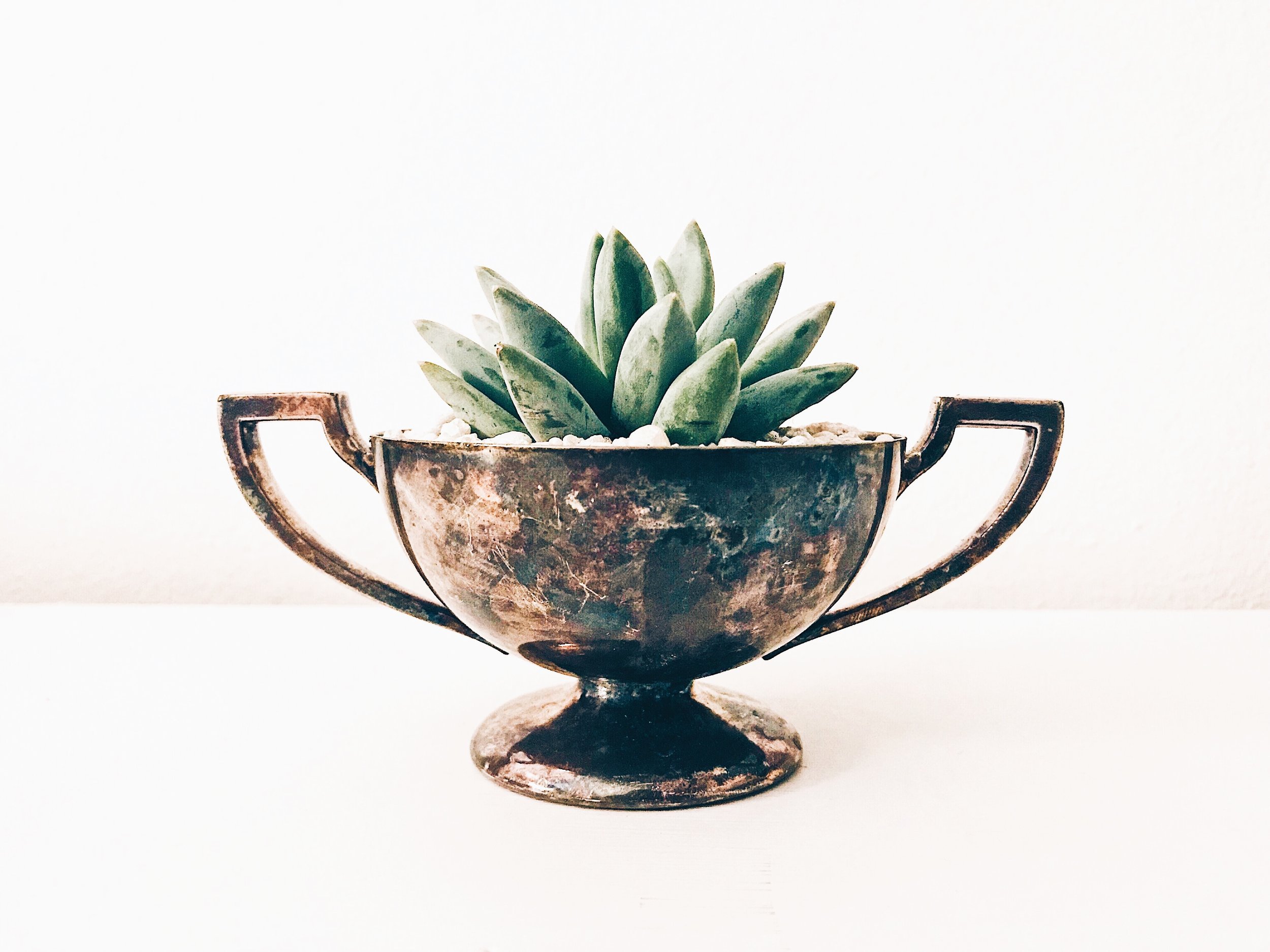 OSEAN member wins Refuse-Reduce-Reuse Champion Award