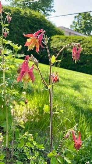 image032.jpg