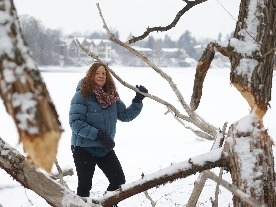 McCarthy Forest Update: Jurisdiction, Recent Victories, and Next Steps