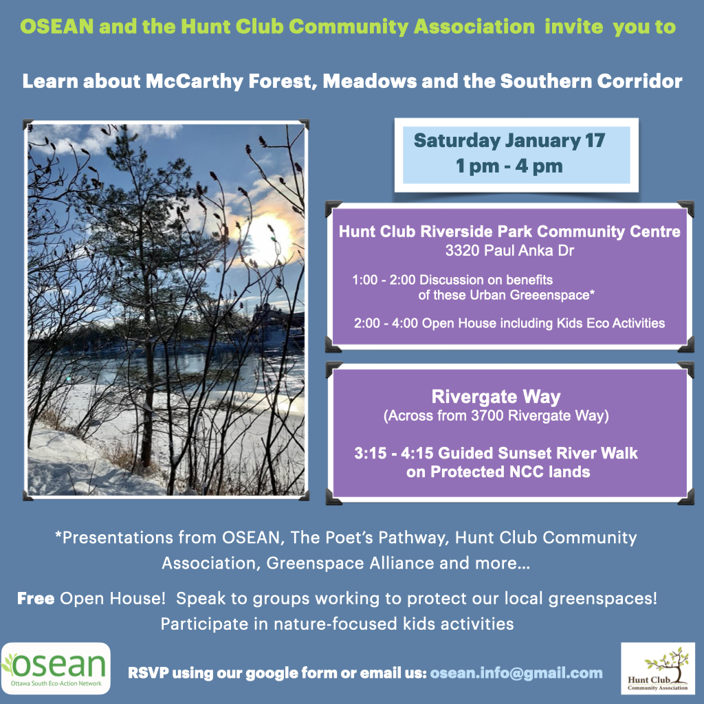 McCarthy Forests Discussion and Sunset Walk