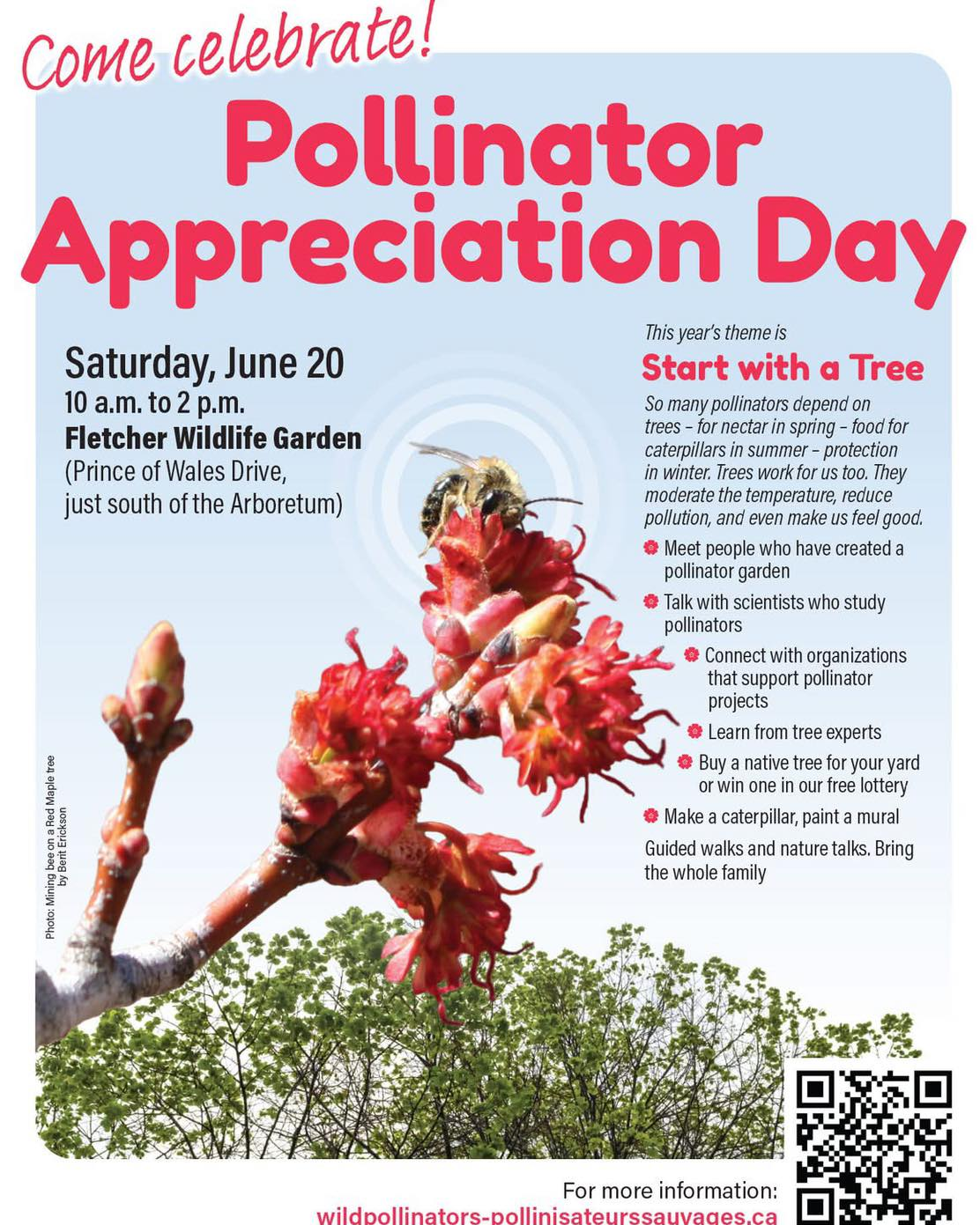 Pollinator Appreciation Day