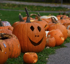Pumpkins for the Planet 2026 Planners - Let’s Get This Party Started