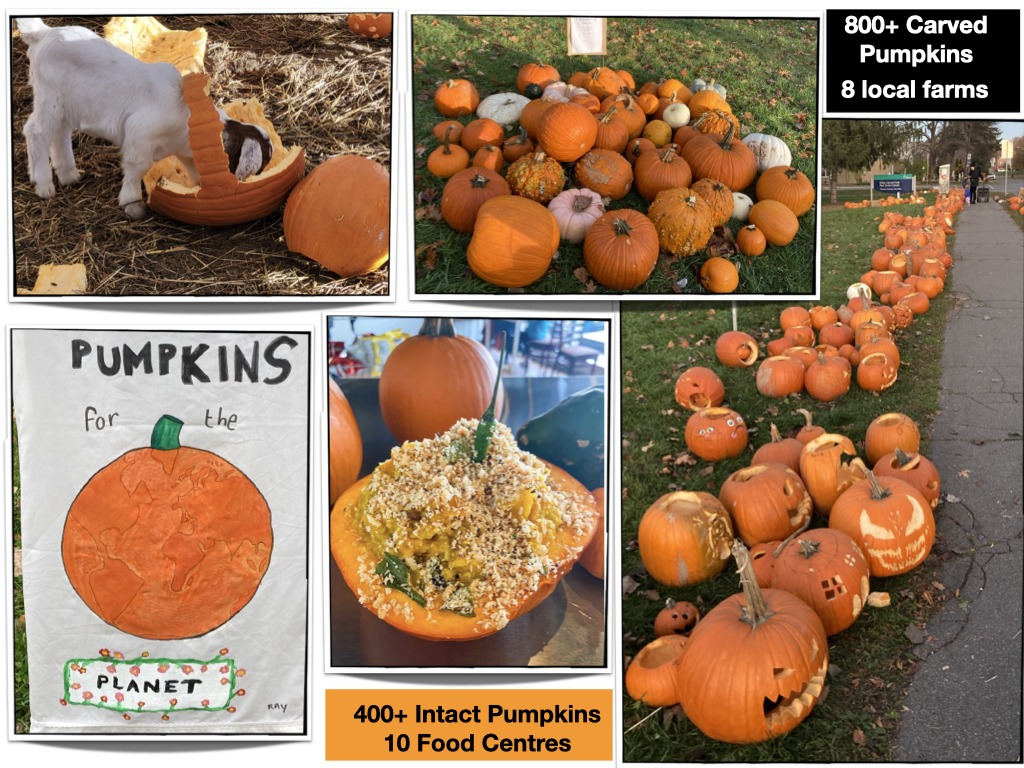 Get involved in Pumpkins for the Planet 2023