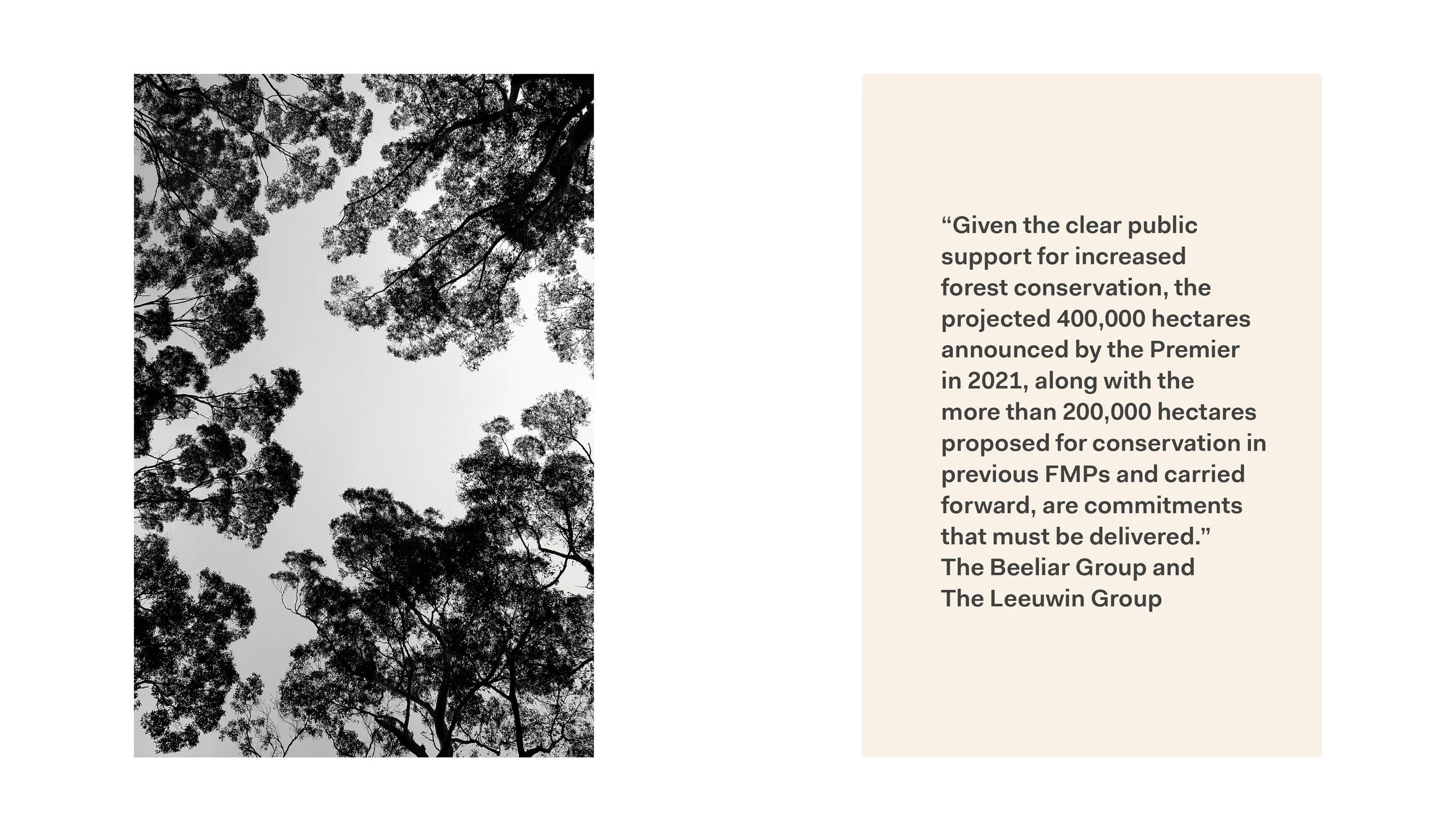 Forests-statements_0000_Layer Comp 1.jpg