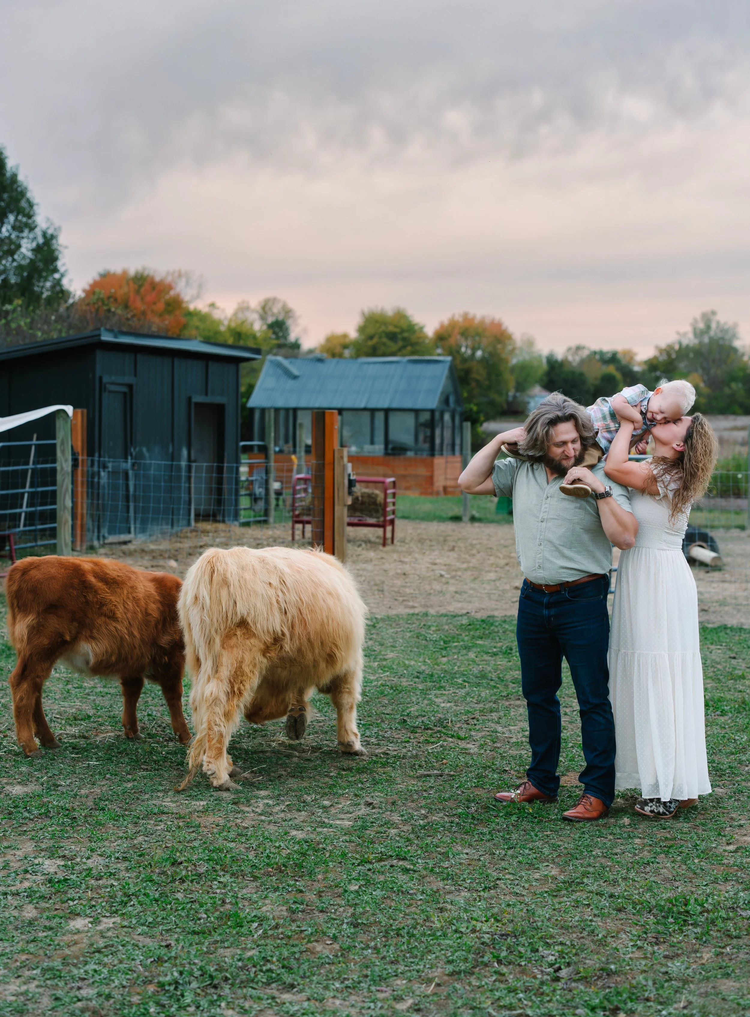 A family of three on a farm with two small cows, with the father holding and the mother kissing a young child, during an overcast day.