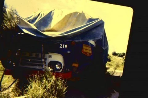 219-photo-maurie-eagle.jpg