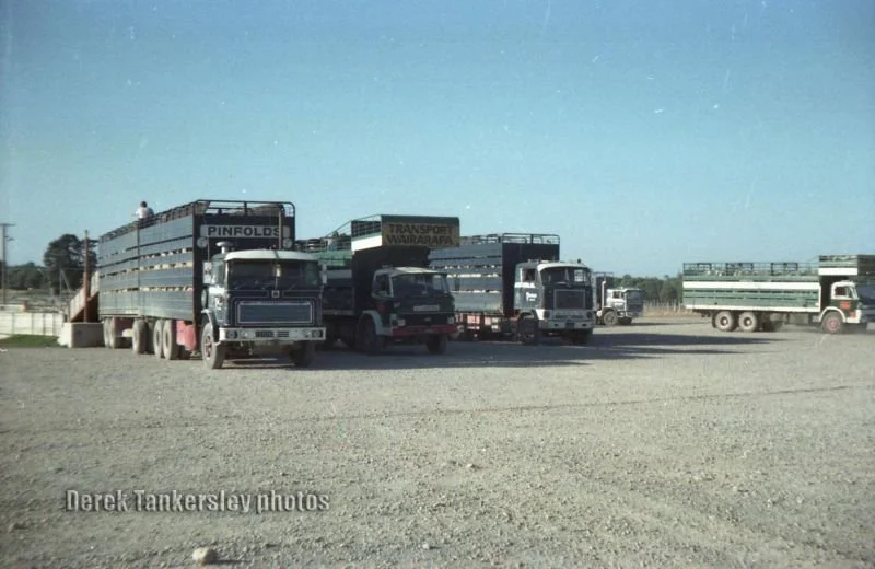 Derek-Tankersley-Photo.jpg