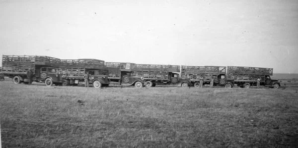 Stock-Trucks.jpg