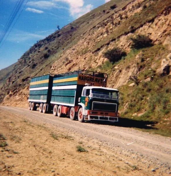 Harg-Tran-15.jpg