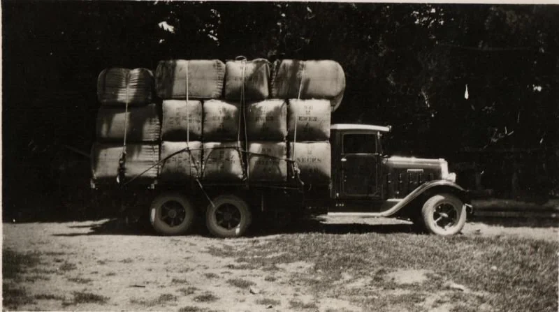 1937-fed-robinson-mangahei.jpg