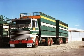 twl-15.jpg
