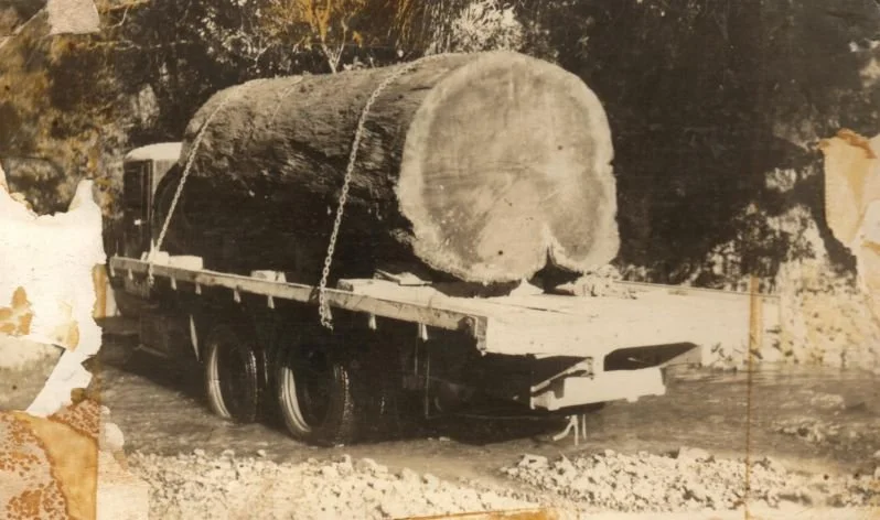 Log-Truck-3.jpg