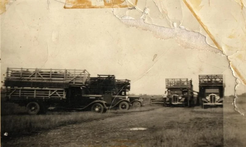 5-stock-trucks.jpg