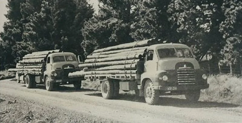 Bedfords-with-loads-of-wood-Photo-from-Maurie-Eagle.jpg