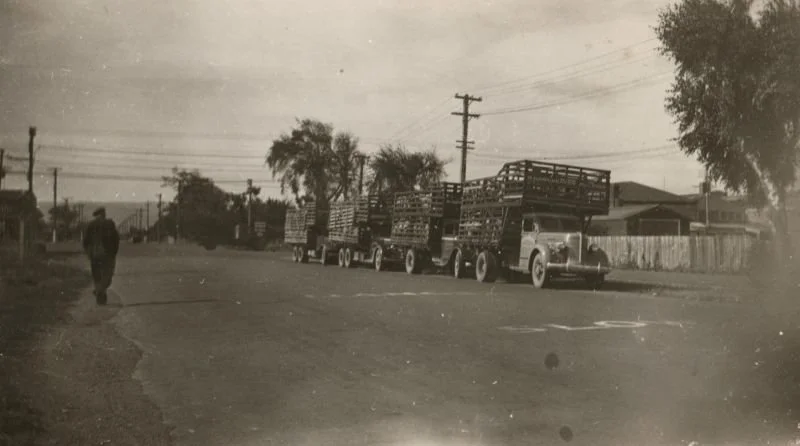 4-stock-trucks.jpg