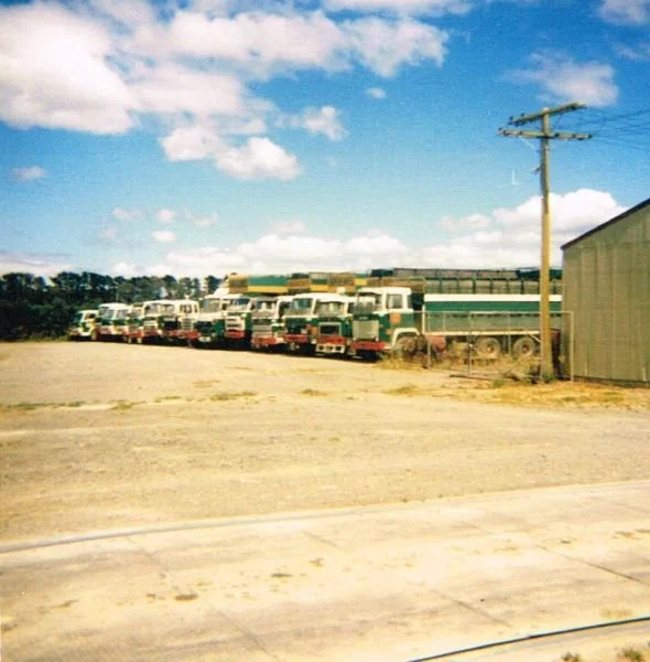 lineup-2.jpg