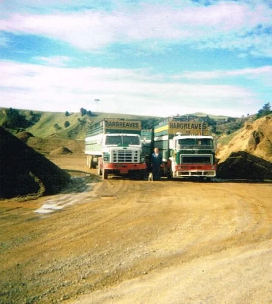 2-Stock-trucks.jpg