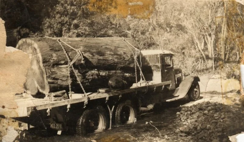Log-Truck-2.jpg