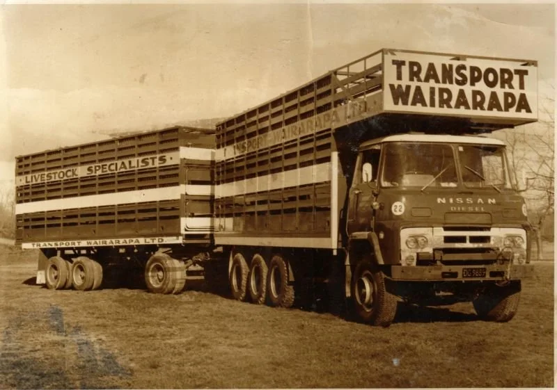 91t.jpg