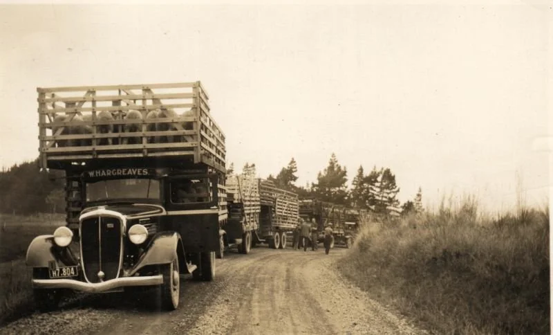 1937-top-of-cunninghams-hill.jpg