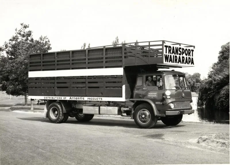 57t.jpg